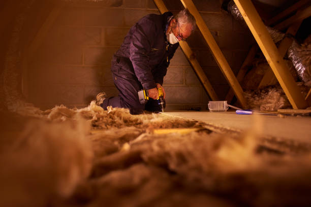 Best Residential Insulation in Springdale, AR